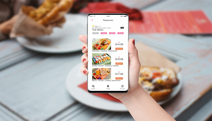 سفارش اینترنتی غذا